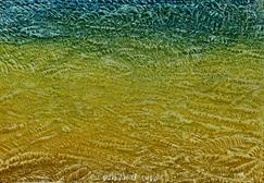 Art Gallery Online